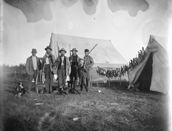 Outdoor group portrait of five men and a boy are posing standing and holding rifles in front of two tents. Dogs are sitting at their feet, and a stringer of dead prairie chickens are hanging between the tents.