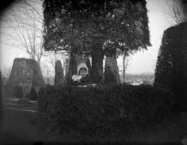 Outdoor view of a small girl posing standing behind and among sculpted shrubbery. Location identified as the yard of the Spaulding family.