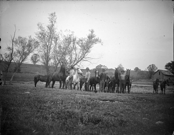 View across field towards four men displaying six horses, and a team of two horses on the right in a field.