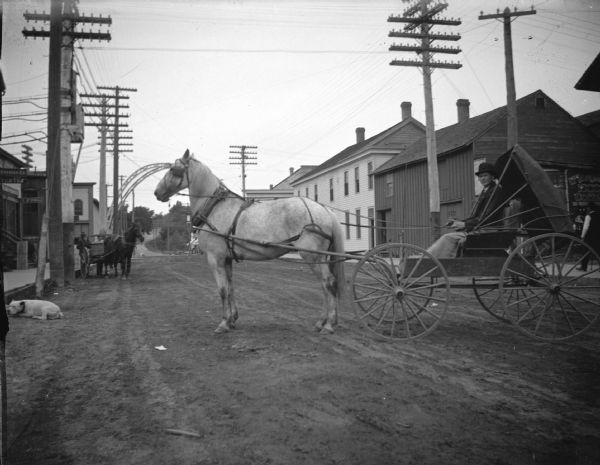 Outdoor portrait of a man posing sitting in a buggy pulled by a single horse on a town street. Location identified as South First Street.