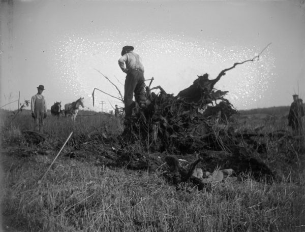 Outdoor view of a man on top of a pulled stump, and another two men and horses in the distance.