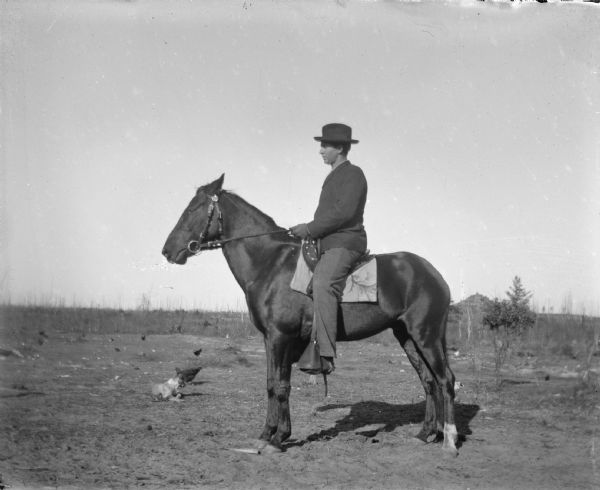 Outdoor view of a man posing sitting on a horse in a field, with a dog and some chickens in the background.