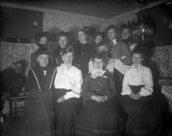 Indoor group portrait of a large group of women posing sitting and standing in a room. A man (blurred) is in the back.