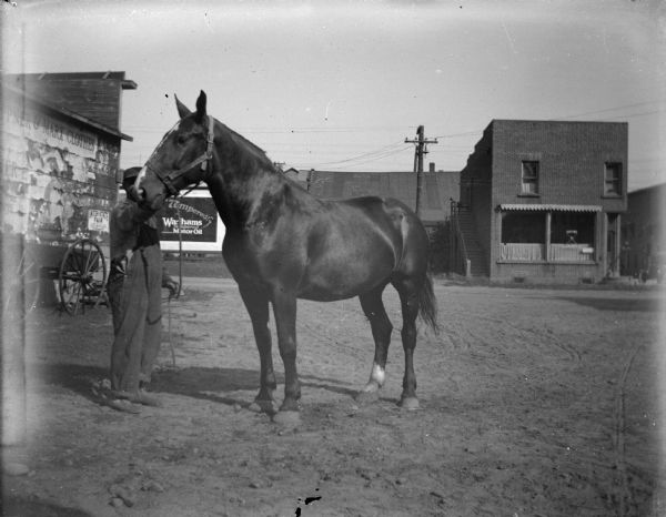Outdoor view of a man posing standing and displaying a horse on a town street. Location identified as a street in Black River Falls.