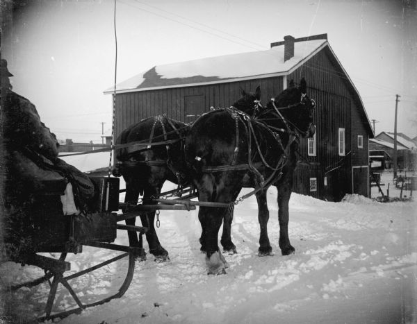Side view of a man sitting in a sleigh pulled by a team of two horses on a snow-covered street. In the background is a wooden building.