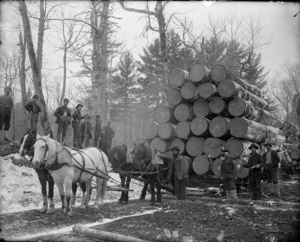 A group of men are standing around a large load of logs being hauled by a team of four horses.