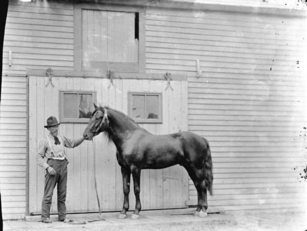 Outdoor view of a man displaying a horse in front of stable doors.