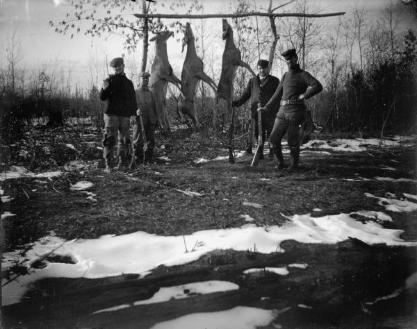 Outdoor view of four European American men posing and standing with rifles in front of three hanging deer carcasses. Snow is on the ground.
