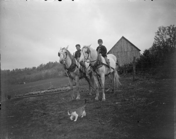Outdoor view of two boys posing sitting on horseback in front of a fence. There is a wooden building in the background. A cat is in the foreground.