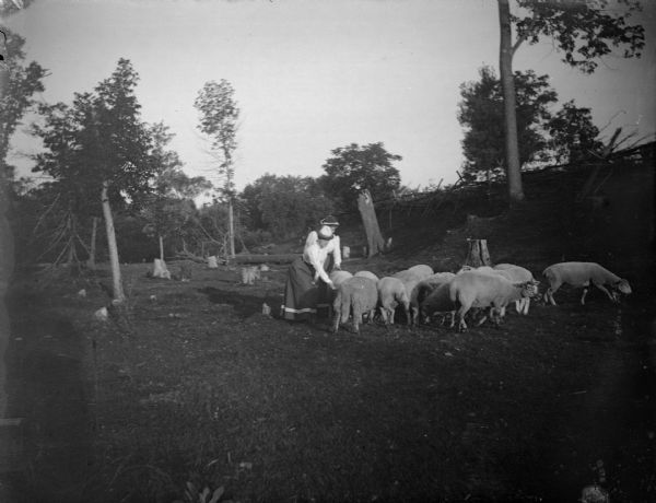 View towards two women posing standing near a flock of sheep in a field.