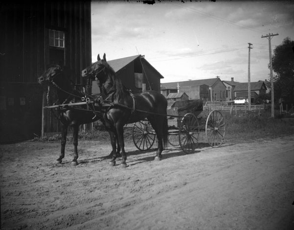Outdoor view of a team of two horses hitched to a buggy in front of a wooden building. Other buildings are in the distance.