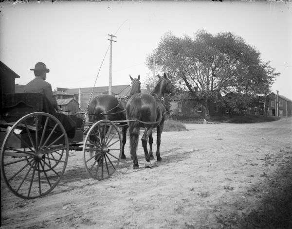 Three-quarter view from right rear of a man sitting in a wagon pulled by a team of two horses. The road is unpaved, and buildings are in the background.