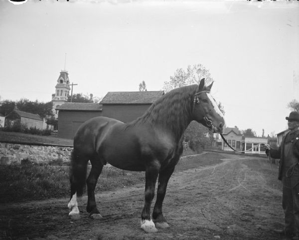 Outdoor view of a man posing standing and displaying a single horse on a town street. Barns and buildings are in the background.