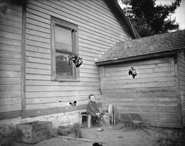 Outdoor view towards a boy posing sitting with a dog in the corner of a yard of two wooden buildings. A cat is in the foreground.