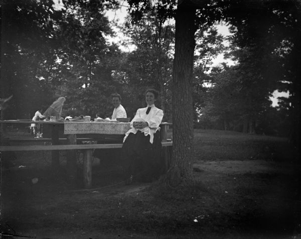 Outdoor view of two women posing sitting at a picnic table. A group of people are in the background at another picnic table.