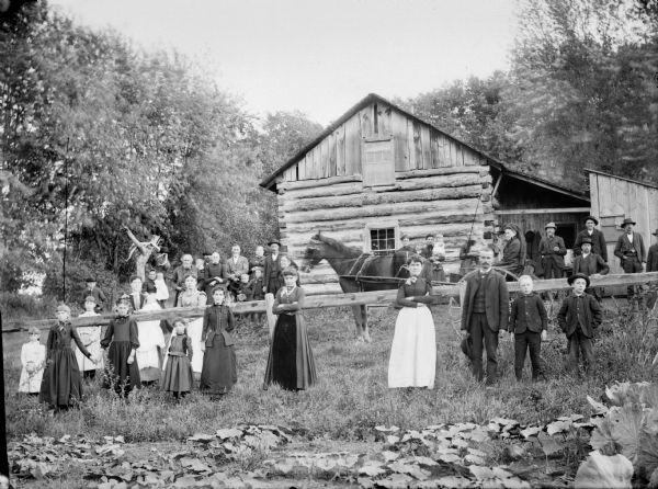 Large group, thirty or so, of men, women, children and infants posing standing in the yard of a house in front of and behind a wooden fence. In the center is a woman wearing a hat and glasses sitting in a horse-drawn buggy. In the foreground is a garden. Possibly a place near Irving, Wisconsin, between the Irving store, beyond the creek and Melrose.