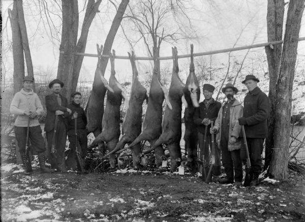 Outdoor portrait of six hunters with their rifles and six deer carcasses.