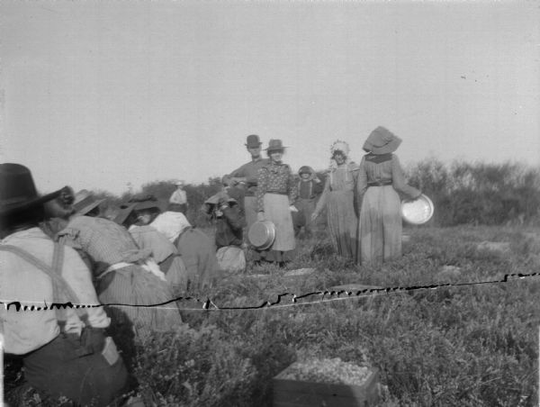 Outdoor view of men and women sitting and standing in a field harvesting a crop.