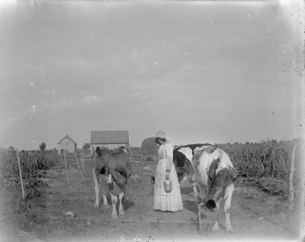 View towards a woman wearing a dress and a bonnet posing standing and holding a pail near cows. There are fields on the left and right, and wooden buildings are in the distance.