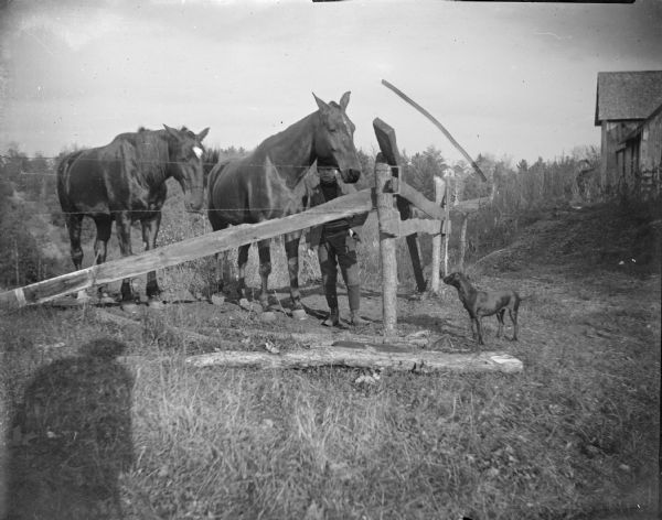 Outdoor portrait of a man posing standing near two horses behind a wire fence. A dog is standing outside of the fence on the right.