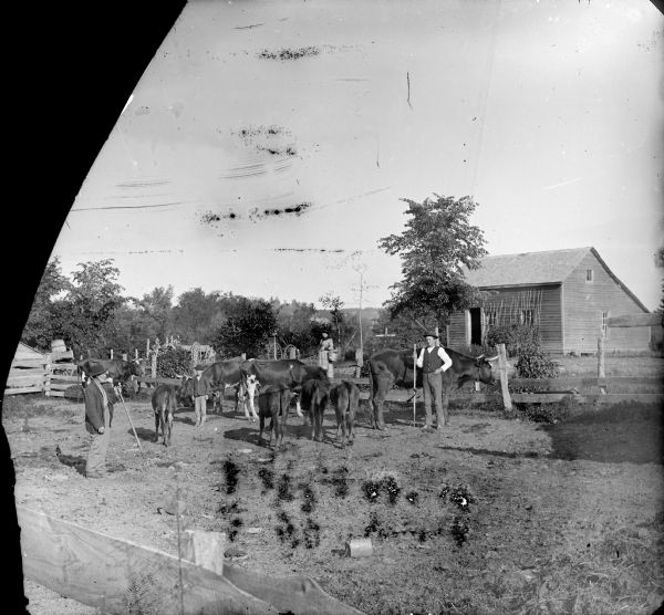 A farm scene with two men and a boy standing in a pen with cows and calves, and a woman is standing behind a fence in the center. A farm building or farmhouse is in the background.
