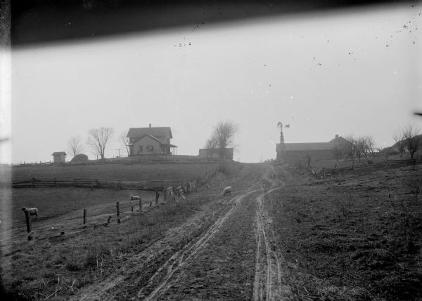 Looking up dirt road towards a farm on both sides of the road. There is pasture with sheep on the left. One sheep is in the road. The farmhouse, windmill and other farm buildings are on a hill in the background.