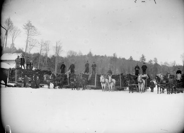 View across snow towards men, women and children. Some people in the group are standing in the snow on the ground, and the other people are standing on top of logs stacked on five horse-drawn sleds.