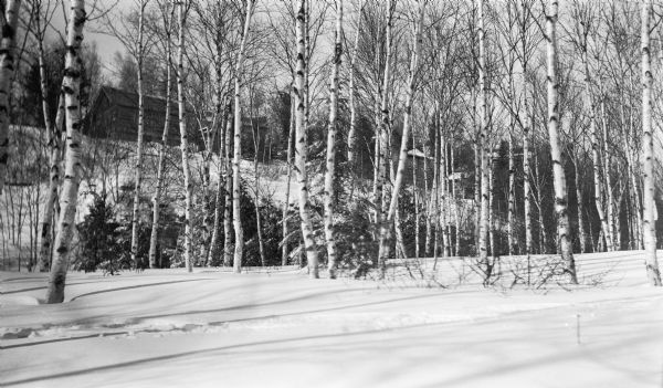 The Hotz cottage, garage, and stone tower are seen through a stand of birch trees from the base of the bluff in Fish Creek. There is snow on the ground.