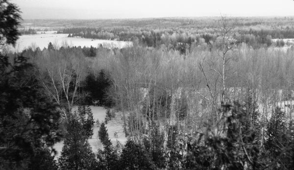 Elevated view of a Door County landscape in winter with snow on the ground, taken from the Hotz Fish Creek cottage. Birch trees and conifers are in the foreground; frozen Fish Creek Harbor in the background.