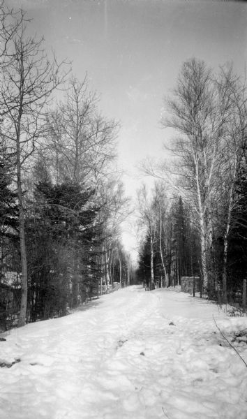 Winter scene with a snow-covered road bordered by stone walls and pillars on Cottage Row Road. Birches and evergreens line the road.