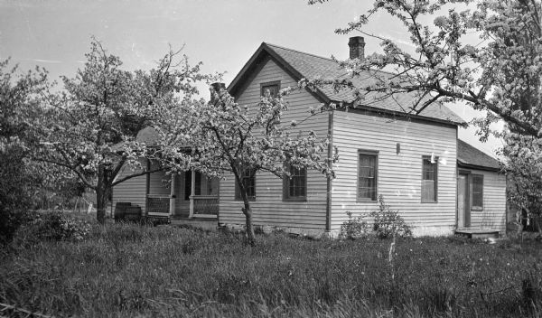Fruit trees are blooming in the tall grass in the yard of a wood frame farmhouse. Two barrels are standing by the front porch.