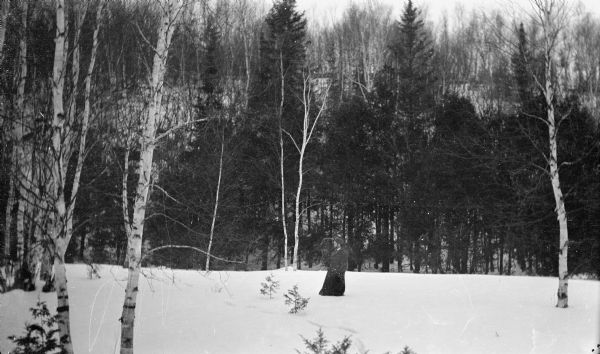 Winter scene with a bearded man standing in deep snow among birch and conifer trees at the base of the bluff at Fish Creek. He is wearing a fur hat and heavy, long coat.
