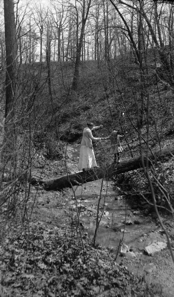 A woman and small girl balance on a log crossing a small stream in a ravine. The trees and bushes are bare.