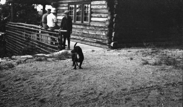 A dachshund, a Hotz family pet, poses near the cottage at Europe Lake. A boy looks on; two others rest against the rustic railing along the side of the cottage; the youth in the white hat is the photographer's son, Ferdinand Leonard (Fedy) Hotz.