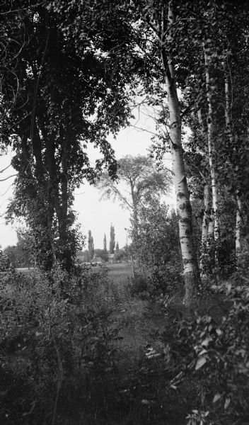 Birch and other trees frame the view of a distant house and barn with poplars behind, lining the road (now Highway 42) at Fish Creek.