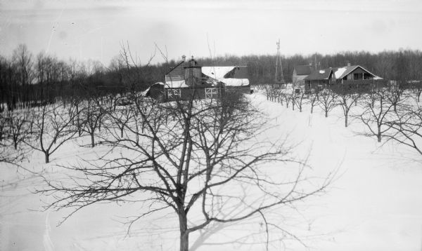 Elevated view of fruit trees, farm buildings, houses, and a windmill with pump house.