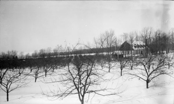 Elevated view of rows of fruit trees standing near an apple storage barn with a stone foundation and several dormers. The Green Bay is visible in the background.