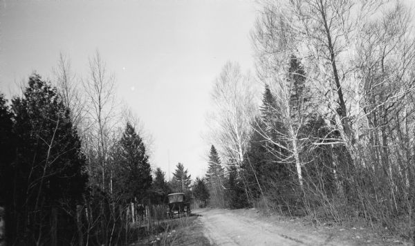 A car is parked along a narrow road that runs through a stand of birch and conifer trees. There appears to be a man standing near the fence on the left.