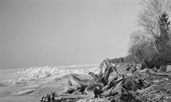 Ice and driftwood, including large tree trunks, piled on the shore near Egg Harbor.
