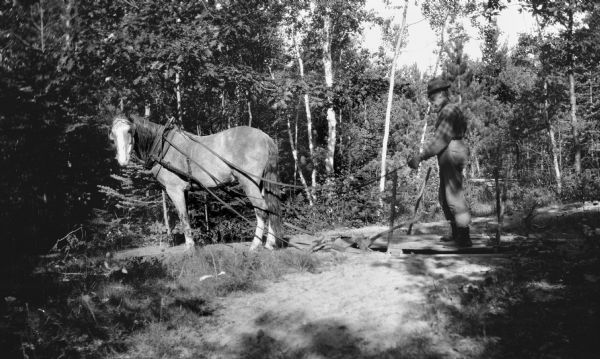 David Kincaid, caretaker of the Hotz Europe Lake estate, stands on a skid pulled by a horse. His axe is embedded in one of the runners.