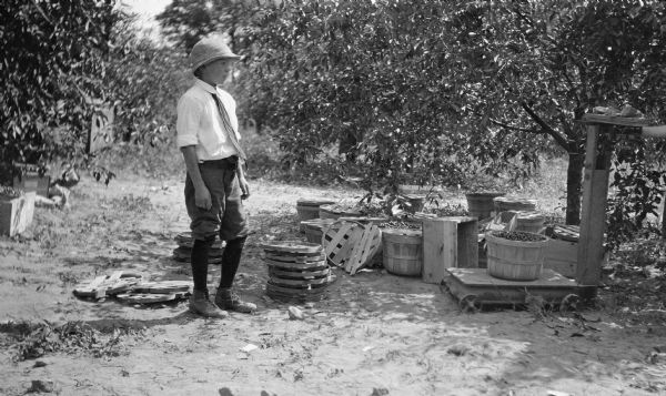 An unidentified boy stands and watches as a bushel of cherries is weighed on a scale.  There are other baskets and covers on the ground.