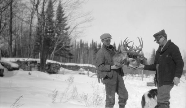 Two men examine the heads of two whitetailed bucks with locked antlers. A dog stands alongside one of the men.