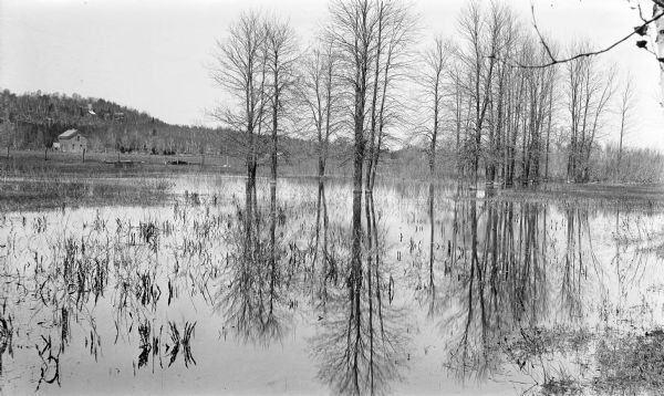 Trees are reflected in shallow water in the wetlands in Fish Creek Valley near the Thorp and Vorous farms in spring. The tower and other buildings of the Hotz family compound are visible on the bluff behind the old farm house.