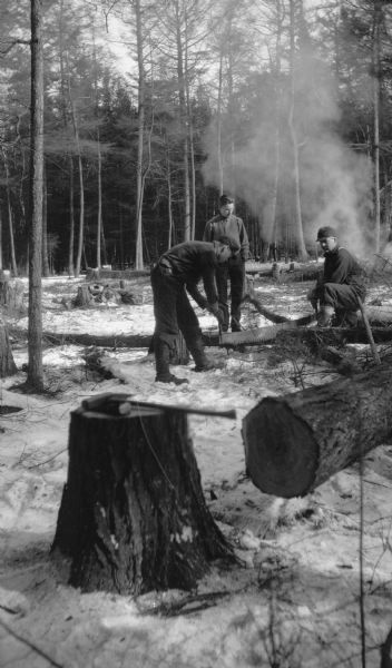 Two men use a crosscut saw to cut a hemlock log while a third watches. A splitting maul and a splitting wedge rest on a tree stump in the foreground. Smoke rises from a brush pile.