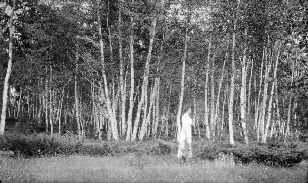 The photographer's wife poses in a grove of birch trees. There are low growing junipers under the trees and a fence in the background.