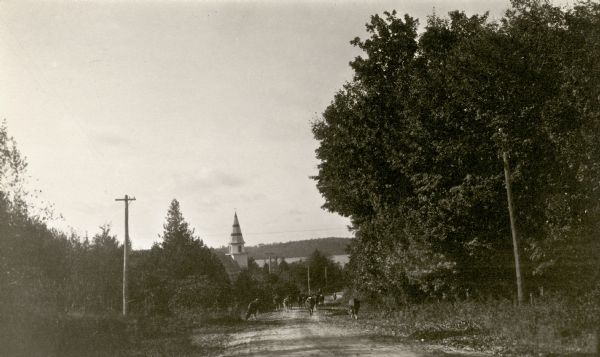 A child and an adult follow a small herd of cattle walking up the dirt road, now Highway 42, north out of Sister Bay. The bell tower of Zion Lutheran Church is on the left, the bay is in the background. The church building is now a Christmas shop.