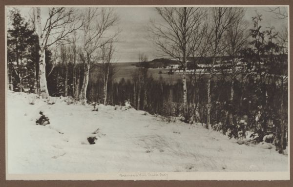 View looking north over Fish Creek Bay, with Hen Island and Peninsula State Park in the background. There is snow on the ground, and evergreens and bare birch trees form the foreground.