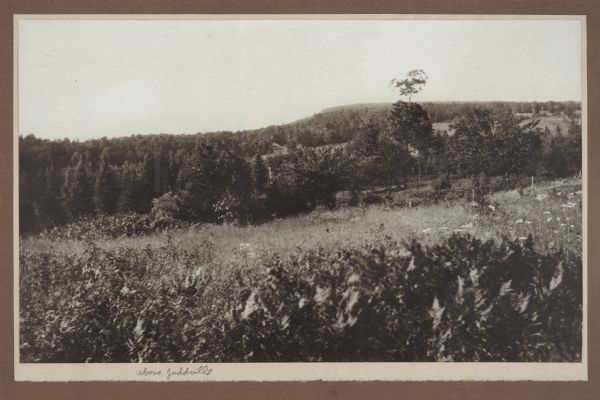 A view, from above Juddville, looking north across a rocky meadow toward wooded bluffs near Fish Creek. A fence crosses the meadow and there is a saltbox-style building in the background. The Green Bay is in the distance; the horizon is indistinct.