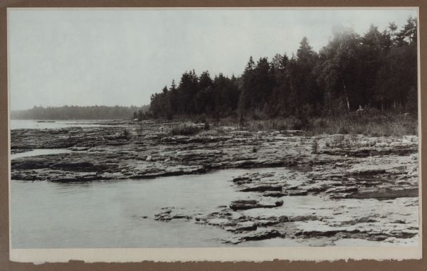 A dense stand of evergreens and birch trees line the rocky shore near Dr. Gordon's cottage on North Bay.