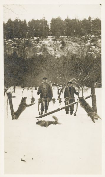 Two unidentified young men pose in the snow with their firearms behind seven dead rabbits displayed on a barbed wire fence; there are three dogs on the other side of the fence. The bluff at Fish Creek forms the background.